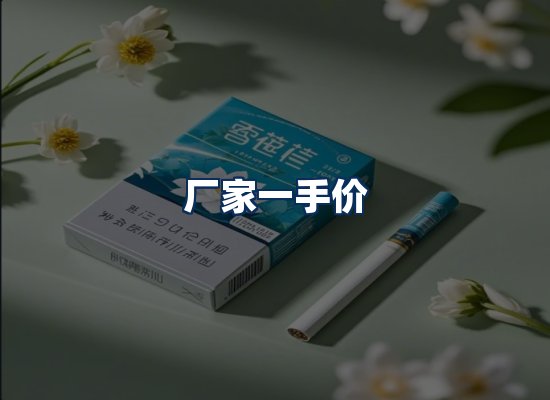 专业团队办公环境